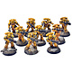 IMPERIAL FISTS 10 Intercessors #2 PRO PAINTED Warhammer 40K