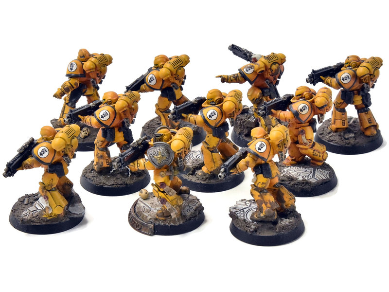 Games Workshop IMPERIAL FISTS 10 Intercessors #2 PRO PAINTED Warhammer 40K