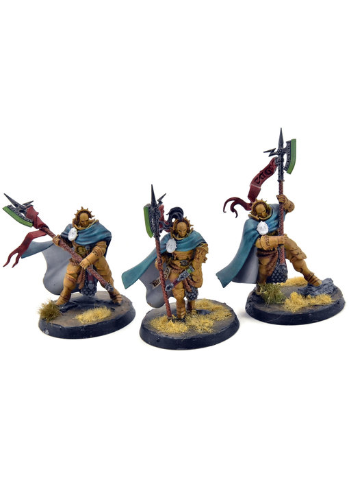 STORMCAST ETERNALS 3 Praetors #1 WELL PAINTED Sigmar