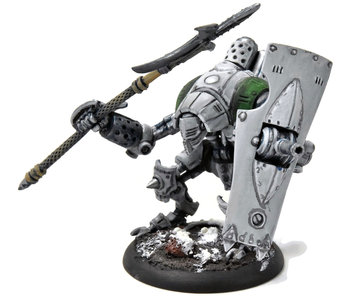 WARMACHINE Vanguard #4 WELL PAINTED METAL Crucible Guard