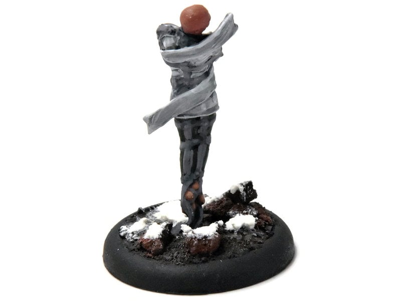 Privateer Press WARMACHINE Trancer #1 WELL PAINTED METAL Crucible Guard