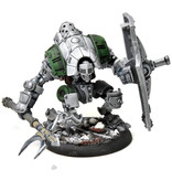 WARMACHINE Vanguard #3 WELL PAINTED METAL Crucible Guard
