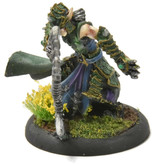 HORDES Paingiver Bloodrunner Master Tormentor #4 WELL PAINTED METAL skorne