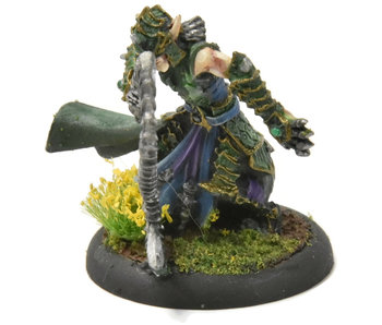 HORDES Paingiver Bloodrunner Master Tormentor #4 WELL PAINTED METAL skorne