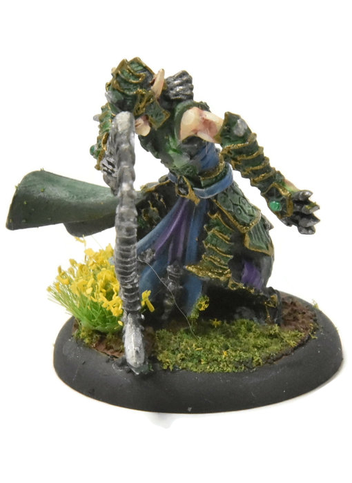 HORDES Paingiver Bloodrunner Master Tormentor #4 WELL PAINTED METAL skorne