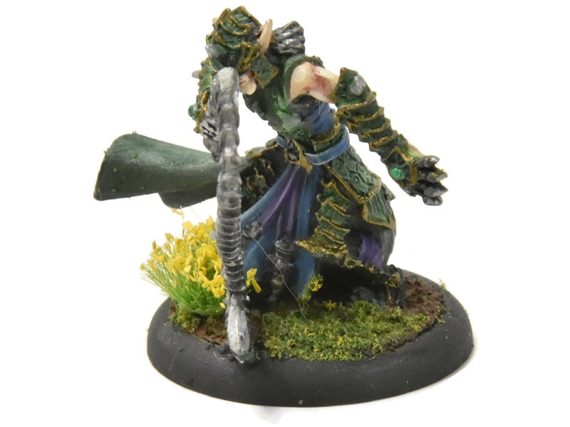 HORDES Paingiver Bloodrunner Master Tormentor #4 WELL PAINTED METAL skorne
