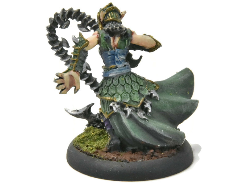 HORDES Paingiver Bloodrunner Master Tormentor #4 WELL PAINTED METAL skorne