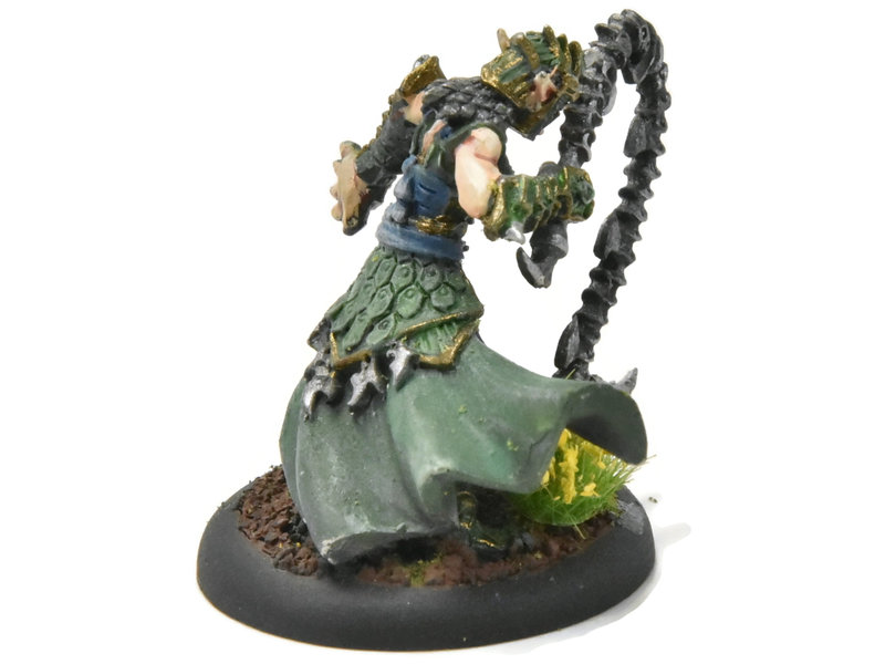 HORDES Paingiver Bloodrunner Master Tormentor #4 WELL PAINTED METAL skorne