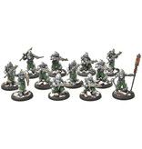 WARMACHINE Infantry + Attachement #1 PRO PAINTED METAL crucible guard