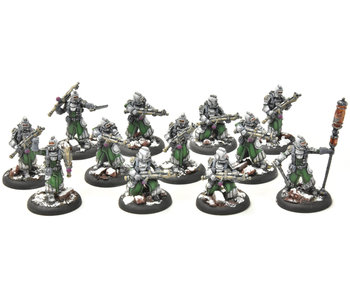 WARMACHINE Infantry + Attachement #1 PRO PAINTED METAL crucible guard