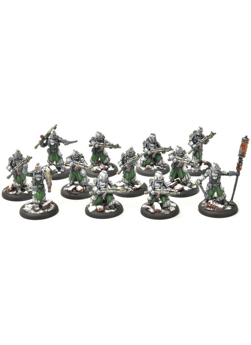 WARMACHINE Infantry + Attachement #1 PRO PAINTED METAL crucible guard