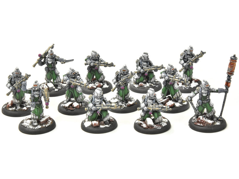 WARMACHINE Infantry + Attachement #1 PRO PAINTED METAL crucible guard