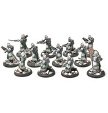 Privateer Press WARMACHINE Infantry + Attachement #1 PRO PAINTED METAL crucible guard