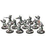 WARMACHINE Infantry + Attachement #1 PRO PAINTED METAL crucible guard