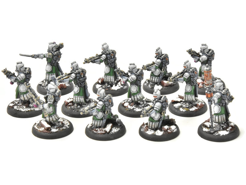WARMACHINE Infantry + Attachement #1 PRO PAINTED METAL crucible guard