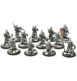 Privateer Press WARMACHINE Infantry + Attachement #1 PRO PAINTED METAL crucible guard