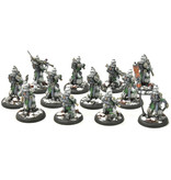 WARMACHINE Infantry + Attachement #1 PRO PAINTED METAL crucible guard