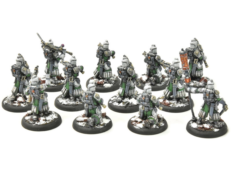 WARMACHINE Infantry + Attachement #1 PRO PAINTED METAL crucible guard