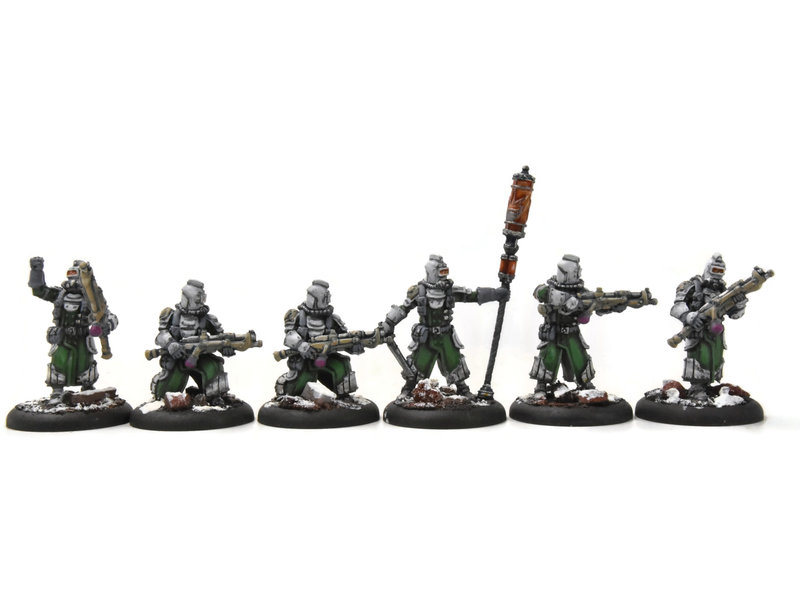 WARMACHINE Infantry + Attachement #1 PRO PAINTED METAL crucible guard