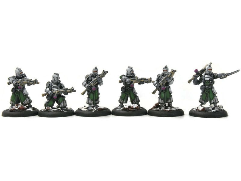 WARMACHINE Infantry + Attachement #1 PRO PAINTED METAL crucible guard