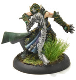 HORDES Paingiver Bloodrunner Master Tormentor #3 WELL PAINTED METAL skorne