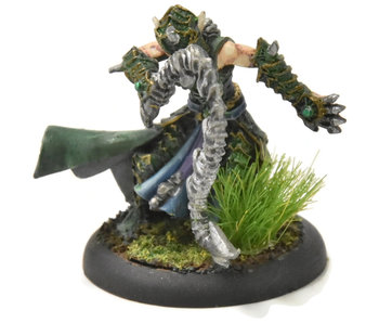 HORDES Paingiver Bloodrunner Master Tormentor #3 WELL PAINTED METAL skorne