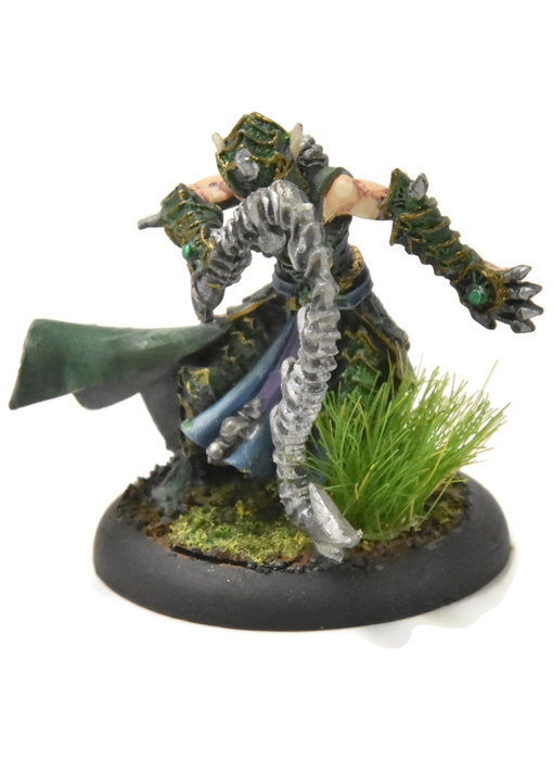 HORDES Paingiver Bloodrunner Master Tormentor #3 WELL PAINTED METAL skorne