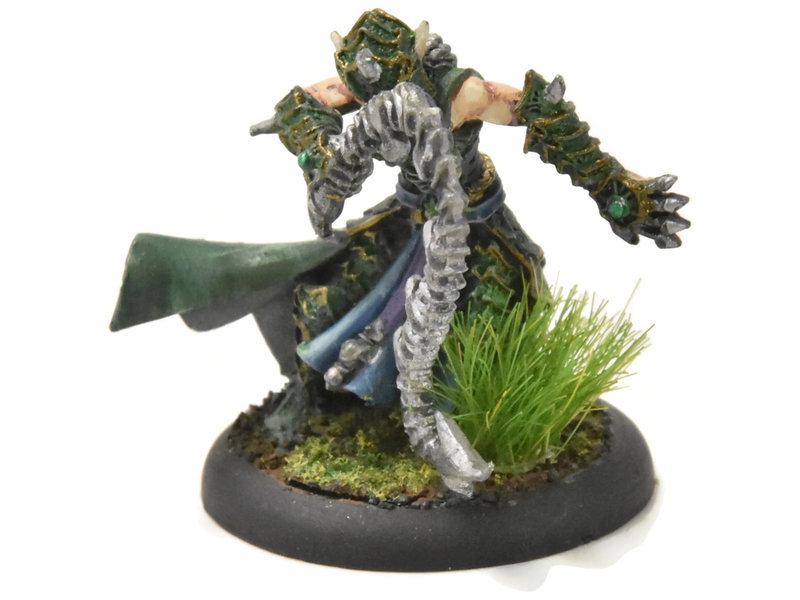 HORDES Paingiver Bloodrunner Master Tormentor #3 WELL PAINTED METAL skorne