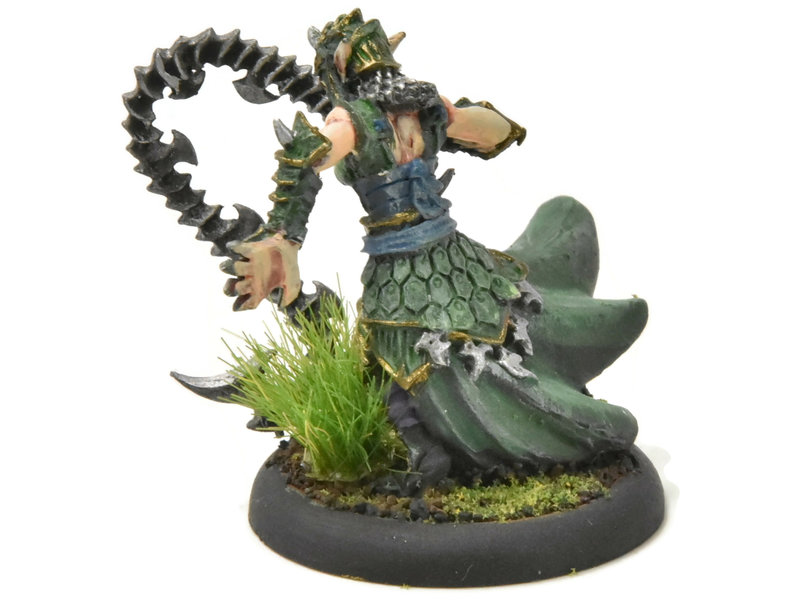 HORDES Paingiver Bloodrunner Master Tormentor #3 WELL PAINTED METAL skorne