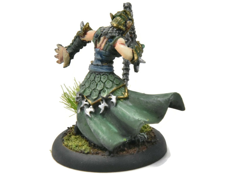 HORDES Paingiver Bloodrunner Master Tormentor #3 WELL PAINTED METAL skorne