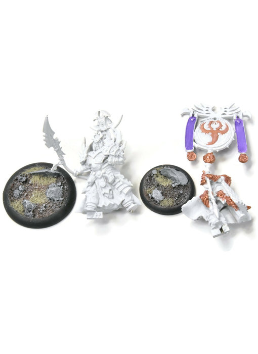 HORDES Tyrant Commander & Standard #1 METAL skorne
