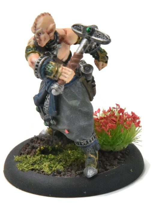 HORDES Extoller Novitiate #1 WELL PAINTED METAL skorne