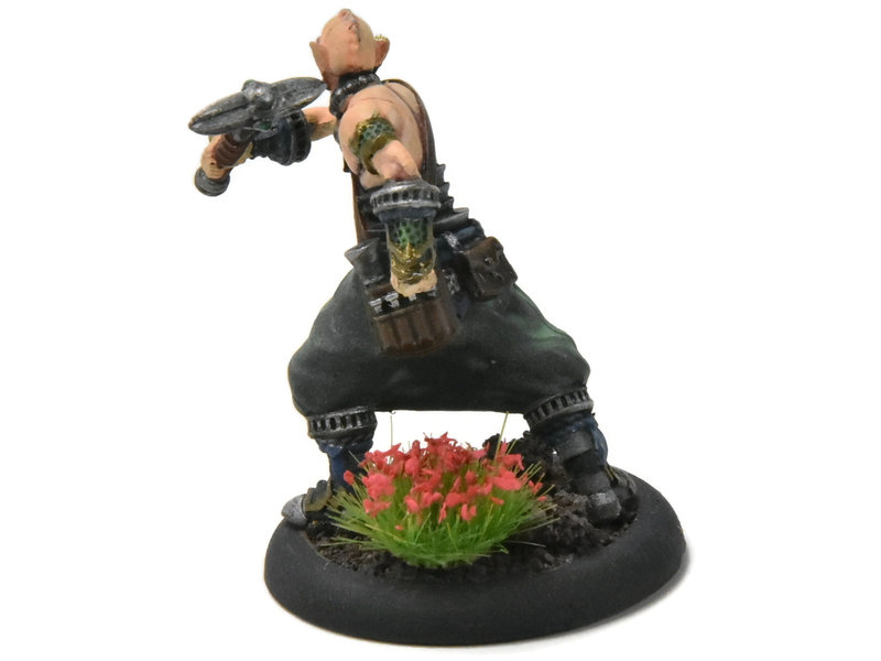 HORDES Extoller Novitiate #1 WELL PAINTED METAL skorne