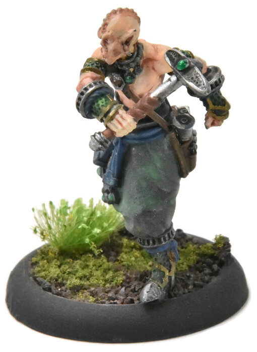 HORDES Extoller Novitiate #3 WELL PAINTED METAL skorne