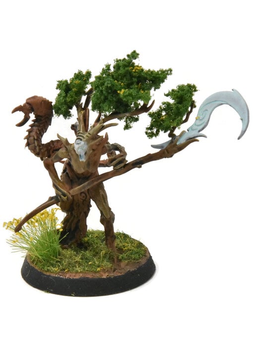 SYLVANETH Branchwych #1 WELL PAINTED Sigmar