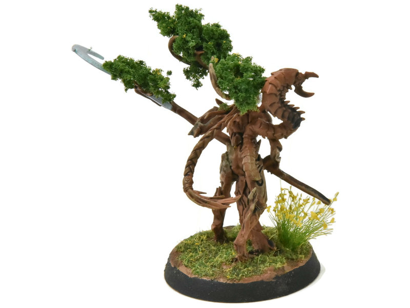 Games Workshop SYLVANETH Branchwych #1 WELL PAINTED Sigmar