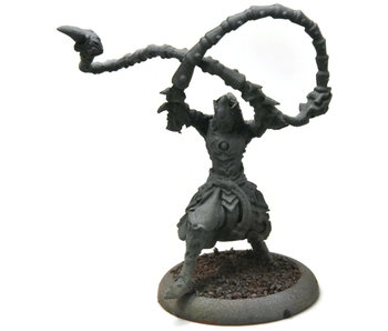 HORDES Beast Master Xekaar #2 skorne