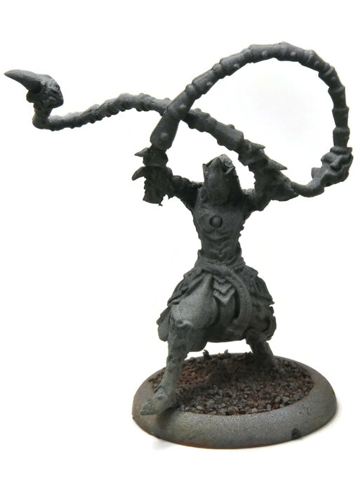 HORDES Beast Master Xekaar #2 skorne