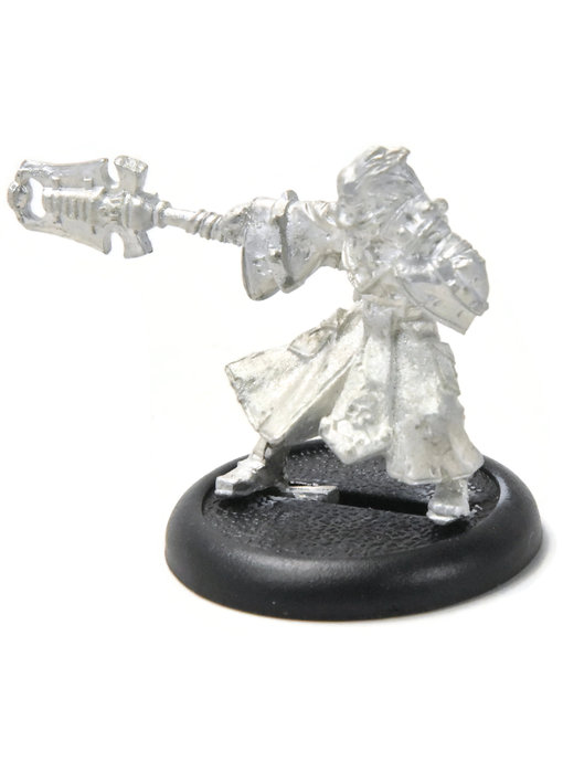 WARMACHINE Hermit #1 METAL mercenaries WELL PAINTED