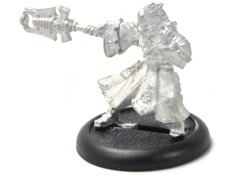 WARMACHINE Hermit #1 METAL mercenaries WELL PAINTED