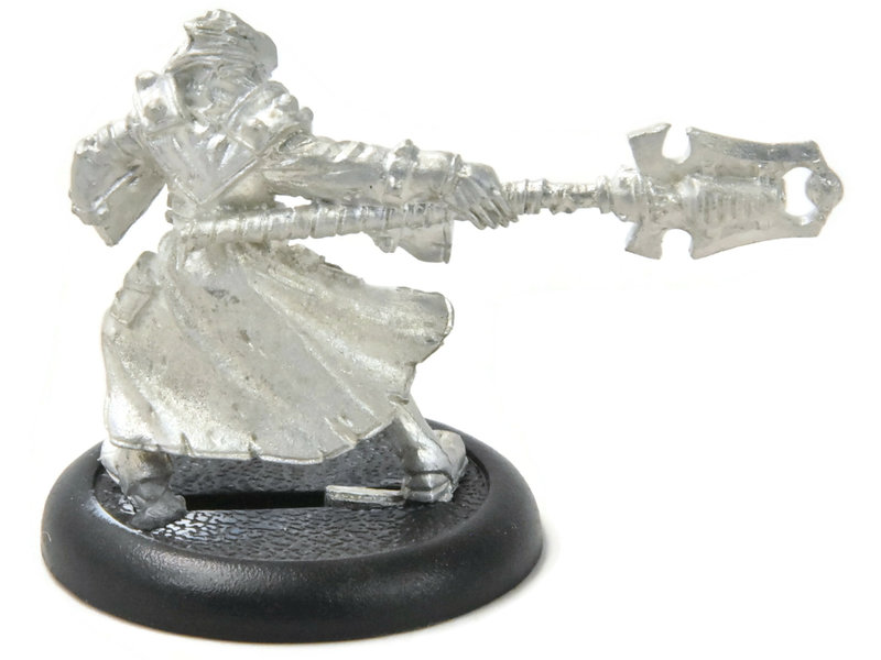 WARMACHINE Hermit #1 METAL mercenaries WELL PAINTED