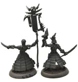 HORDES Venator Reivers Oficer & Standard #1 METAL skorne