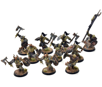 SLAVES TO DARKNESS 10 Marauders #1 WELL PAINTED SIGMAR Nurgle