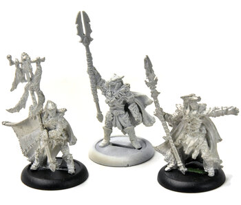 HORDES Wolves of Orboros Officer & Totem Bearer - 1 Unit Leader Plastic #1 METAL