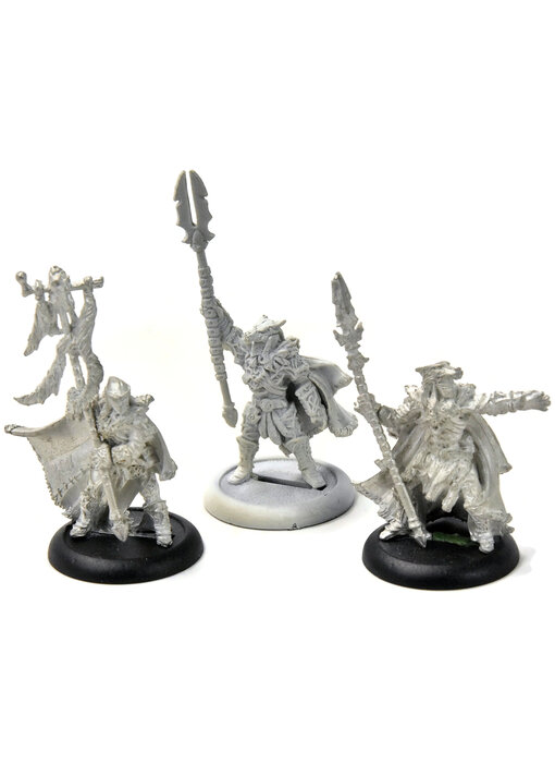 HORDES Wolves of Orboros Officer & Totem Bearer - 1 Unit Leader Plastic #1 METAL