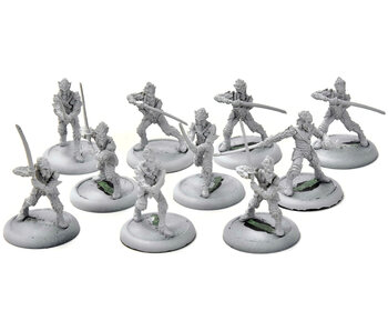 HORDES Nyss Swordsmen #1 legion of everblight
