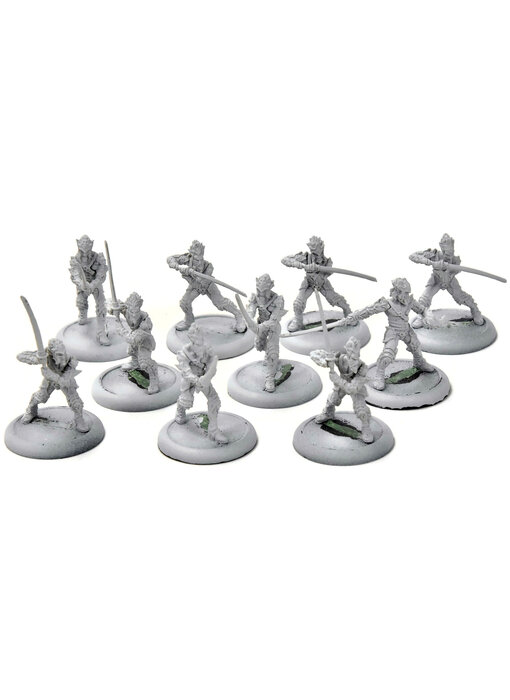 HORDES Nyss Swordsmen #1 legion of everblight