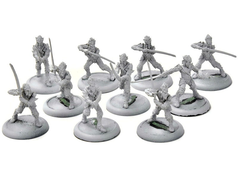 HORDES Nyss Swordsmen #1 legion of everblight