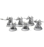 HORDES Cataphract Cetrati #1 skorne
