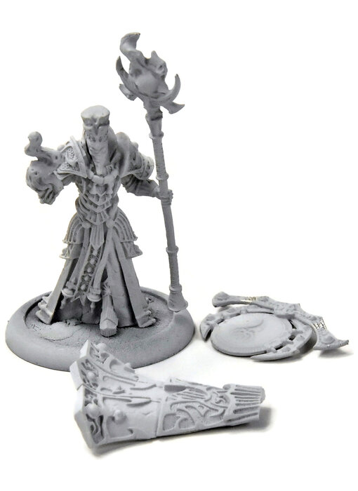 HORDES Zaal, The Ancestral Advocate #1 METAL skorne
